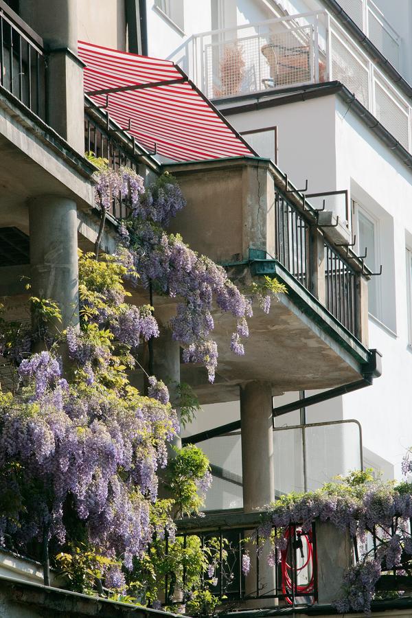 Schody do nebe - FOTOGRAFIE